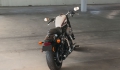 Sportster XL 1200 Roadster Modell 2019 in Billiard White