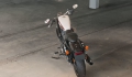 Sportster XL 1200 Roadster Modell 2019 in Billiard White