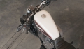 Sportster XL 1200 Roadster Modell 2019 in Billiard White