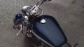 Sportster XL 1200 Custom Modell 2019 in Midnight Blue