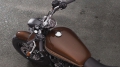 Sportster XL 1200 Custom Modell 2019 in Rawhide