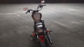 Sportster XL 1200 Custom Modell 2019 in Rawhide