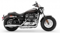 Sportster XL 1200 Custom Modell 2019 in Silver Flux / Black Fuse