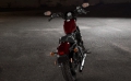 Sportster Iron 1200  Modell 2019 in Twisted Cherry