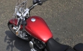 Sportster Super Low 1200 T Modell 2019 in Wicked Red