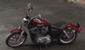 Sportster XL 883 SuperLow Modell 2019 in Twisted Cherry