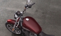 Sportster XL 883 SuperLow Modell 2019 in Twisted Cherry