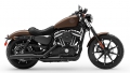 Sportster XL 883 Iron Modell 2019 in Rawhide Denim