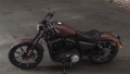 Sportster XL 883 Iron Modell 2019 in Rawhide Denim