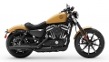 Sportster XL 883 Iron Modell 2019 in Rugged Gold Denim