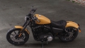 Sportster XL 883 Iron Modell 2019 in Rugged Gold Denim