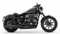 Sportster XL 883 Iron Modell 2019 in Silver Flux / Black Fuse