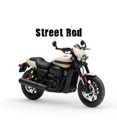 Harley-Davidson Street Street Rod Modelljahr 2019
