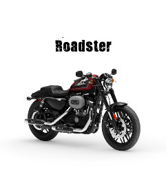 Harley-Davidson Sportster Sportster XL 1200 Roadster Modelljahr 2019