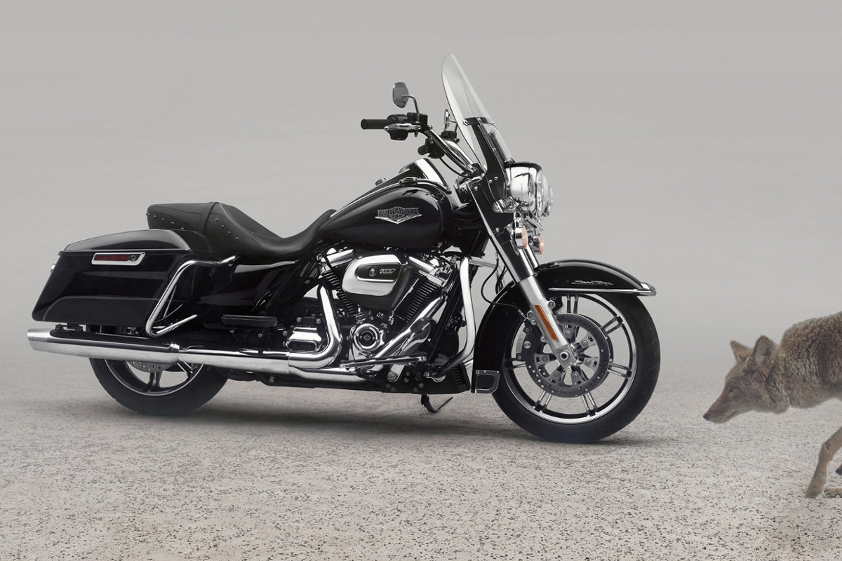 Road King Modelljahr 2020