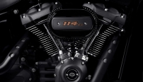 Softail Low Rider S / Milwaukee-Eight 114 Motor