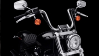 Softail Standard / Roher Bobber-Stil