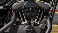 Sportster Iron 1200  / Evolution-Motor mit 1.202 ccm