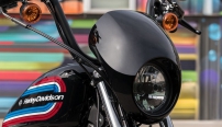 Sportster Iron 1200  / Schwarze Lenker&shyverkleidung