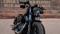 Sportster Forty-Eight / 49 mm Gabel mit Cartridge-Dmpfung