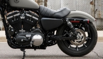 Sportster XL 883 Iron / Tiefer Sitz, gekrzte Feder&shyelemente