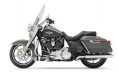 Road King Modell 2020 in Silver Pine / Spruce
