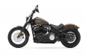 Softail Street Bob Modell 2020 in River Rock Gray