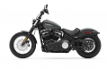 Softail Street Bob Modell 2020 in Spruce