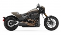 Softail FXDR 114 Modell 2020 in River Rock Gray Denim