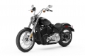 Softail Standard Modell 2020 in Vivid Black