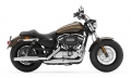 Sportster XL 1200 Custom Modell 2020 in River Rock Gray