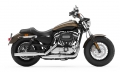 Sportster XL 1200 Custom Modell 2020 in River Rock Gray / Vivid Black