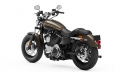 Sportster XL 1200 Custom Modell 2020 in River Rock Gray / Vivid Black