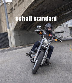 Harley-Davidson Softail Softail Standard Modelljahr 2021