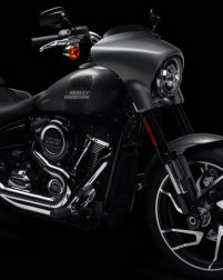 Softail Sport Glide / Nachtschwarzer Custom-Look