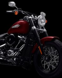 Softail Slim / Softail-Rahmen