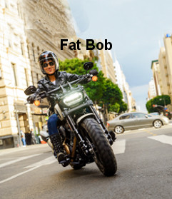 Harley-Davidson Cruiser Fat Bob Modelljahr 2022