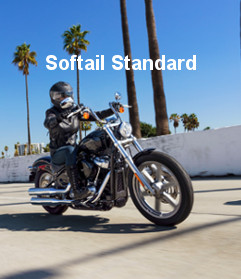 Harley-Davidson Cruiser Softail Standard Modelljahr 2022
