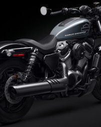 Sportster Nightster / Effektive Gewichtsverteilung