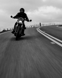 Sportster Nightster / Rider Safety Enhancements