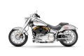 Fat Boy Gray Ghost Modell 2025 in Reflection