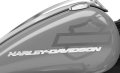 Softail Breakout Modell 2025 in Billiard Gray