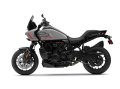 Pan America 1250 ST Modell 2025 in Billiard Gray