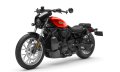Nightster Special Modell 2025 in Whiskey Fire