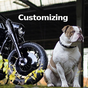 Individuelle Umbauten Deiner Harley-Davidson