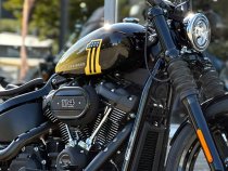 Neumaschine (Custom-Umbau) Softail Street Bob "Bumblebee"