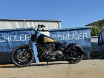 Neumaschine (Custom-Umbau) Softail Street Bob "Bumblebee"
