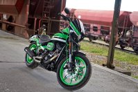 Neumaschine (Custom-Umbau) Low Rider S