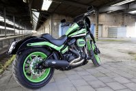 Neumaschine (Custom-Umbau) Low Rider S