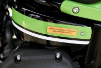 Neumaschine (Custom-Umbau) Low Rider S